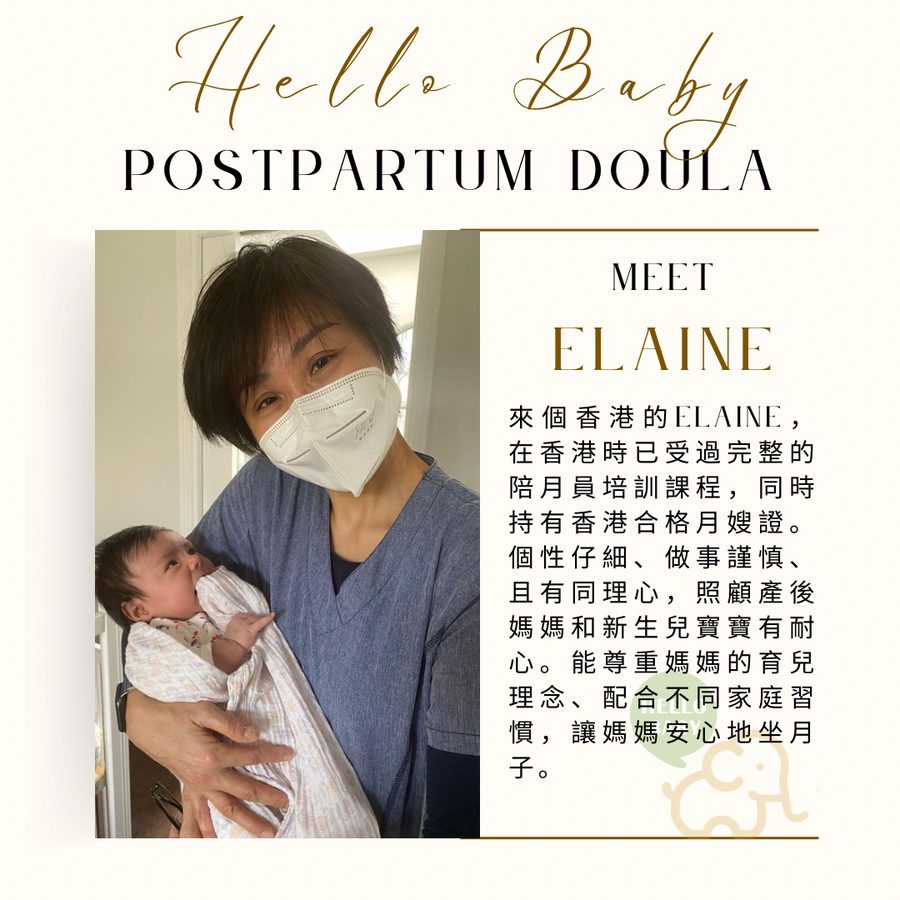 Elaine 的團隊介紹